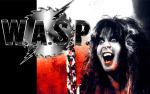 Image for W.A.S.P.