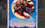 Image for Queensborough National Bank & Trust Co. Presents Movies at the Miller: HOCUS POCUS