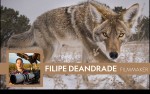 Image for NATIONAL GEOGRAPHIC LIVE – FILIPE DEANDRADE