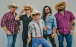Image for Mike and the Moonpies