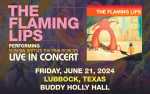 Image for The Flaming Lips