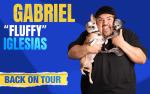 Image for GABRIEL "FLUFFY" IGLESIAS: Back on Tour