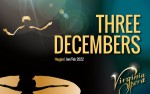 Image for Three Decembers