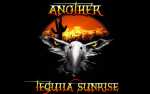 Image for Another Tequila Sunrise: An Eagles Tribute